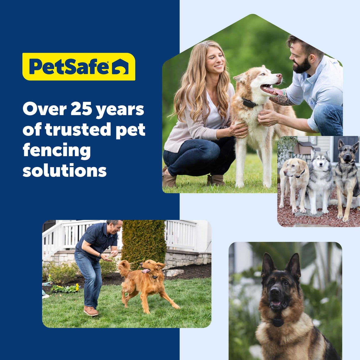 PETSAFE Stay & Play Wireless Fence Receiver Collar for Dogs